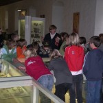 Internationaler Museumstag in Kelheim