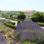 Roemischer Garten mit Taverne