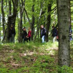 Wanderung am Donnersberg